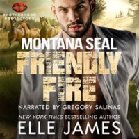 Montana_SEAL_Friendly_Fire