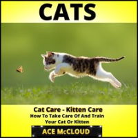 Cats__Cat_Care__Kitten_Care__How_To_Take_Care_Of_And_Train_Your_Cat_Or_Kitten