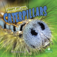 Creepy_But_Cool_Caterpillars