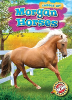 Morgan_Horses