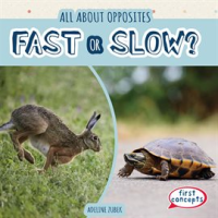 Fast_or_Slow_