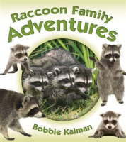 Raccoon_Family_Adventures