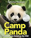 Camp_Panda