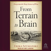 From_Terrain_to_Brain