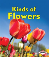 Kinds_of_Flowers