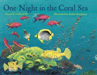 One_Night_in_the_Coral_Sea