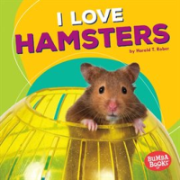 I_Love_Hamsters