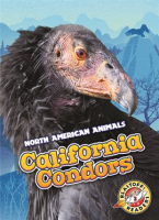 California_Condors