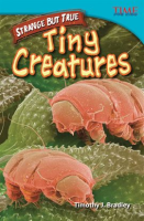 Straight_Talk__Tiny_Creatures