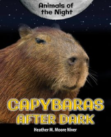 Capybaras_After_Dark