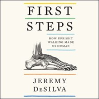 First_Steps