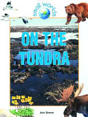 On_the_tundra