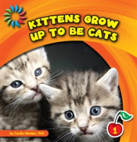 Kittens_Grow_up_to_Be_Cats