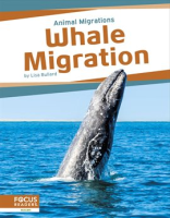 Whale_Migration