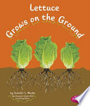 Lettuce_grows_on_the_ground
