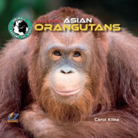 All_About_Asian_Orangutans