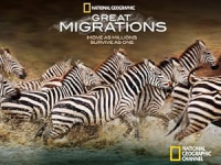 Great_migrations