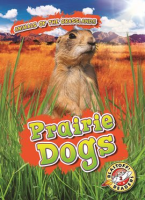 Prairie_Dogs