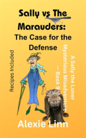 Sally_vs_the_Marauders__The_Case_for_the_Defense