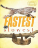 Fastest_and_slowest