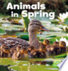 Animals_in_spring