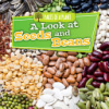A_look_at_seeds_and_beans