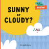 Sunny_or_cloudy_