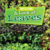 A_look_at__leaves