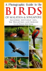 A_Photographic_Guide_to_the_Birds_of_Malaysia___Singapore