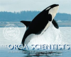 The_Orca_Scientists