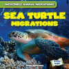 Sea_Turtle_Migrations