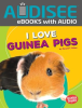 I_Love_Guinea_Pigs