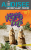 Let_s_Look_at_Prairie_Dogs