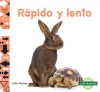 R__pido_y_lento__Fast_and_Slow_