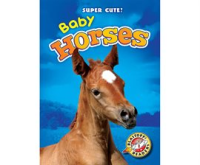 Baby_Horses