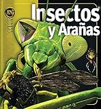 Insectos_y_ara___nas