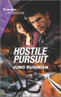 Hostile_pursuit