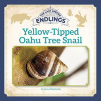 Yellow-Tipped_Oahu_Tree_Snail