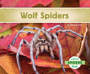 Wolf_spiders