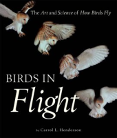 Birds_In_Flight