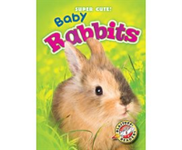 Baby_Rabbits