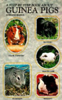 A_step_by_step_book_about_guinea_pigs