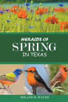 Heralds_of_Spring_in_Texas