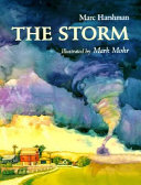 The_storm