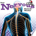 Your_nervous_system_works_