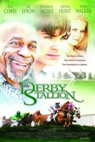 Derby_stallion