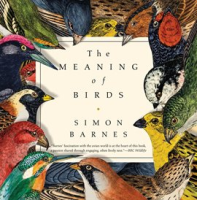 The_Meaning_of_Birds