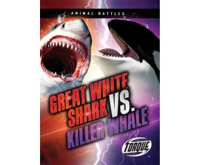 Great_White_Shark_vs__Killer_Whale