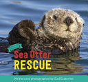 Sea_Otter_Rescue