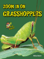 Zoom_In_on_Grasshoppers